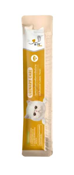urinary care