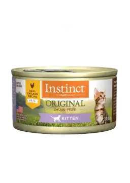 original kitten chicken wet