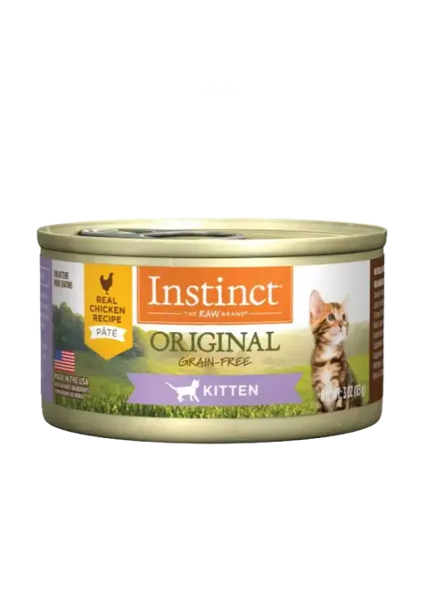 original kitten chicken wet