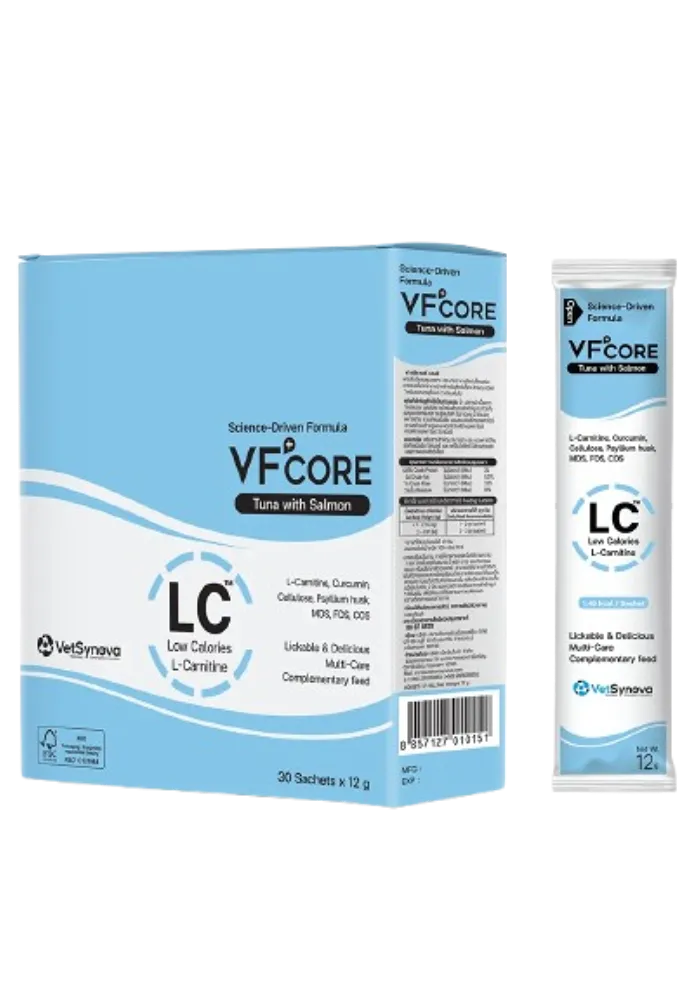 lc low calories l-carnitine