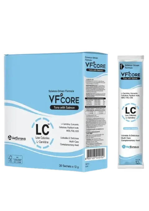 lc low calories l-carnitine