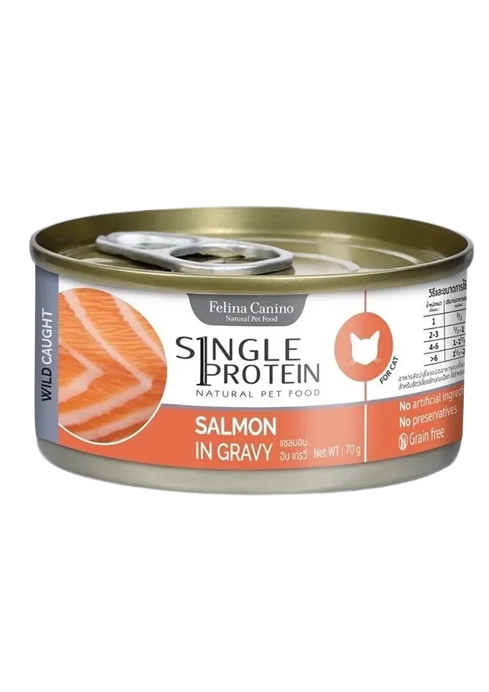 wild caught salmon in gravy