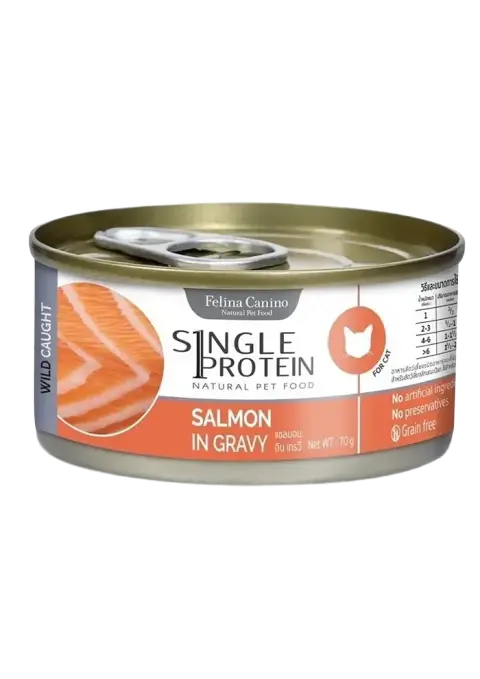wild caught salmon in gravy
