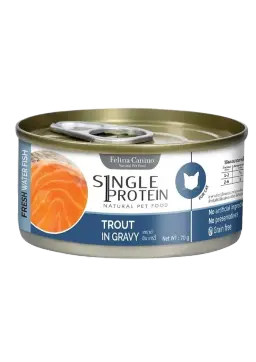 fresh water fish trout in gravy