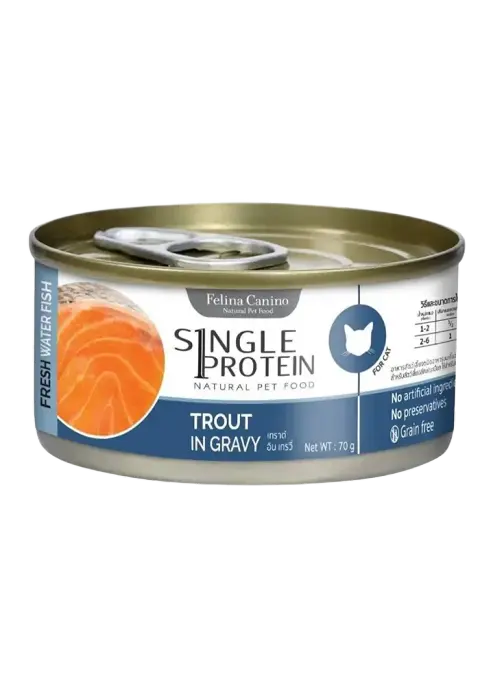 fresh water fish trout in gravy