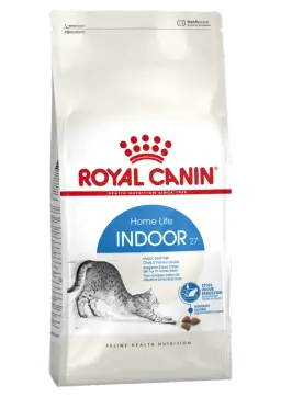 indoor