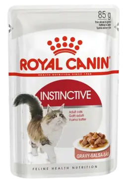 instinctive gravy