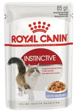 instinctive jelly