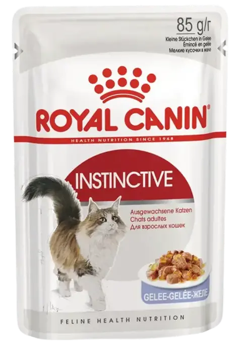 instinctive jelly