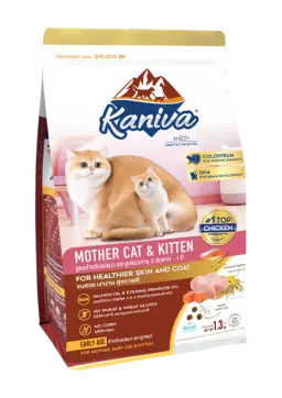 mother cat & kitten