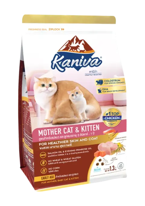 mother cat & kitten