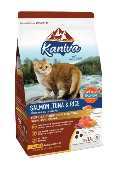 salmon, tuna & rice