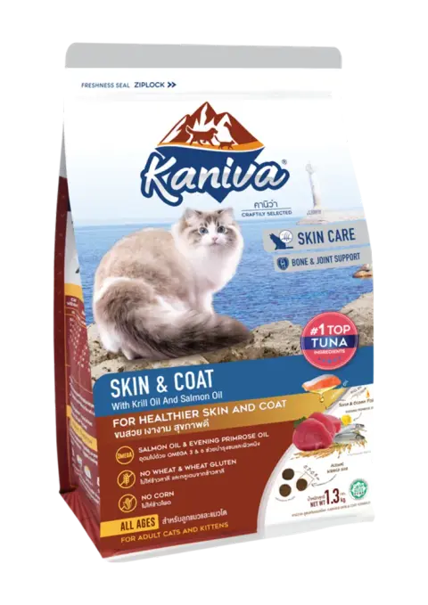 skin & coat