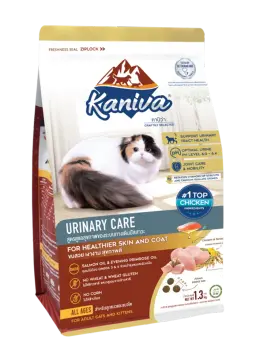 urinary care