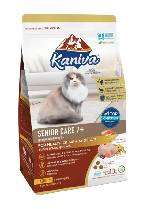 senior care 7+