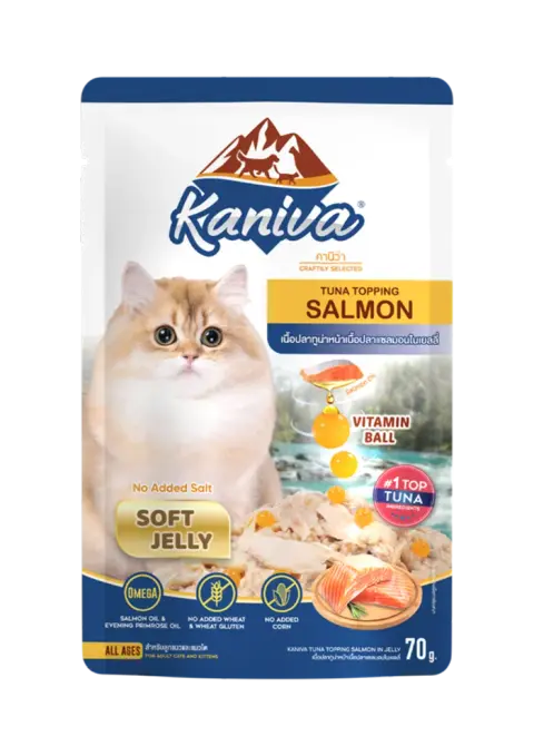 tuna with salmon in soft jelly