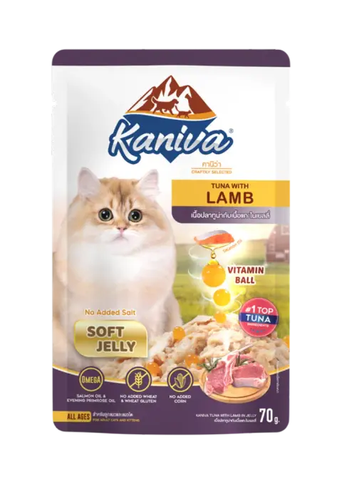 tuna with lamb in soft jelly