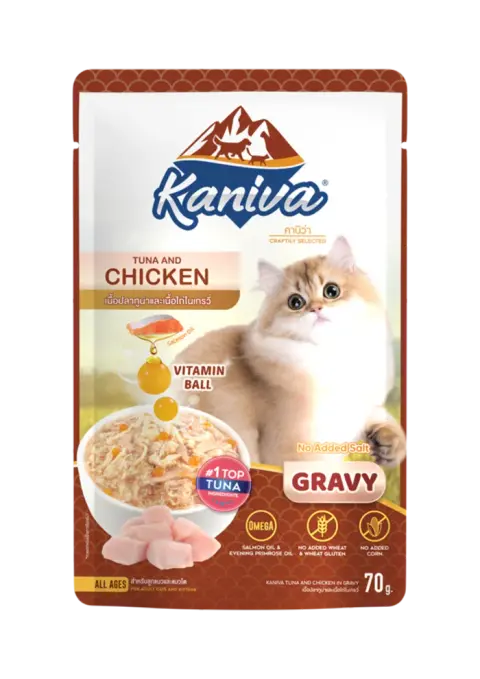 tuna with chicken in gravy