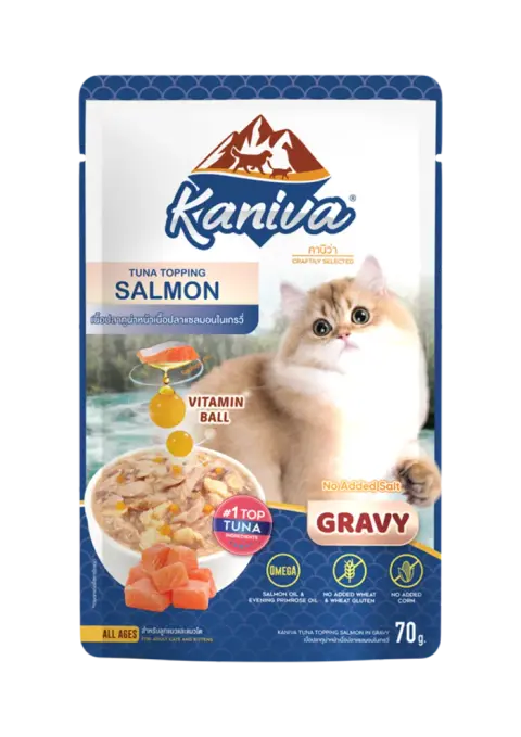 tuna with salmon in gravy
