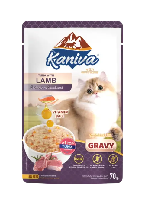 tuna with lamb in gravy