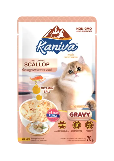 tuna topping scallop in gravy
