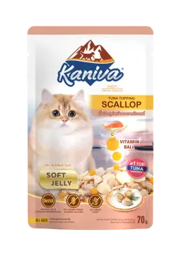 tuna topping scallop in soft jelly