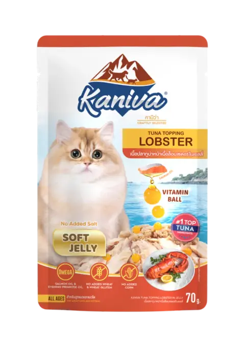 tuna topping lobster in soft jelly