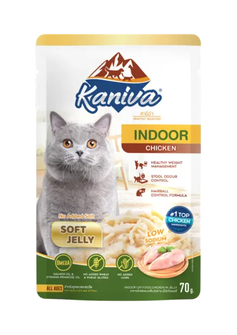 indoor chicken in soft jelly