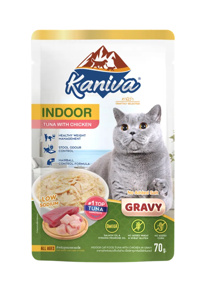 indoor tuna with chicken in gravy