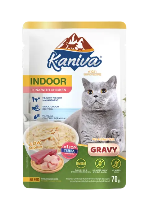 indoor tuna with chicken in gravy