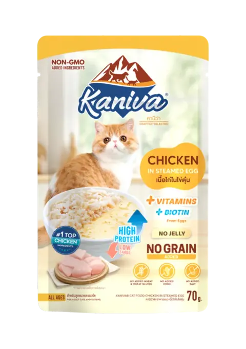 chicken in steamed egg