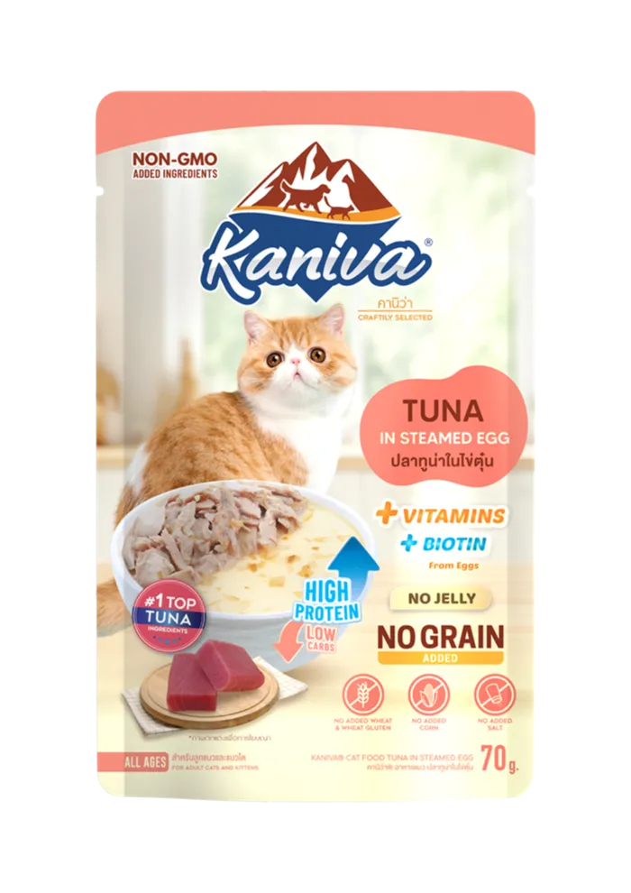 kaniva tuna in steamed egg