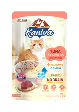 tuna in steamed egg