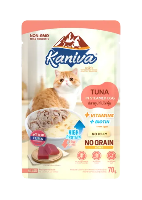 tuna in steamed egg