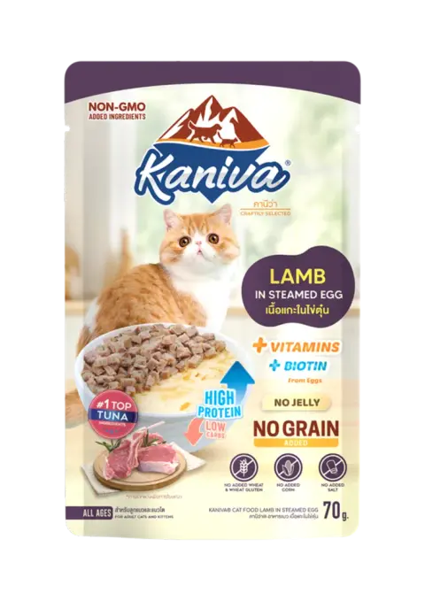 lamb in steamed egg