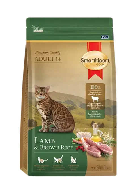 lamb & brown rice