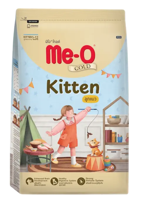 kitten
