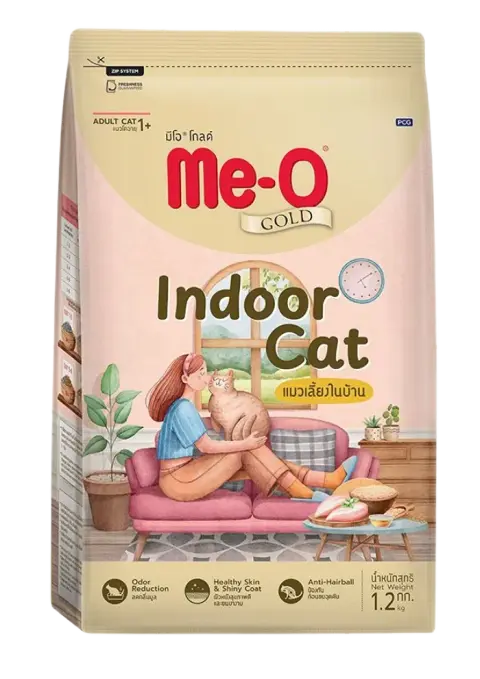 indoor cat