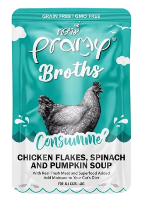 broths chicken flakes, spinach & pumpkin soup