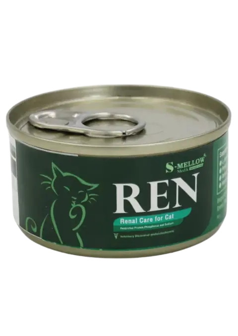 ren renal care for cat