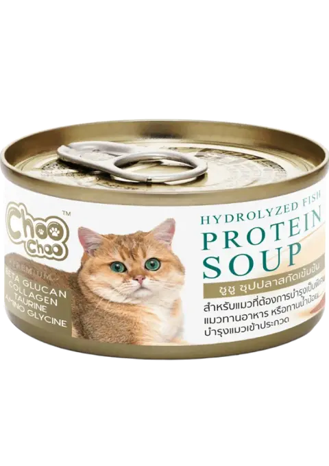 hydrolyzed fish protein soup