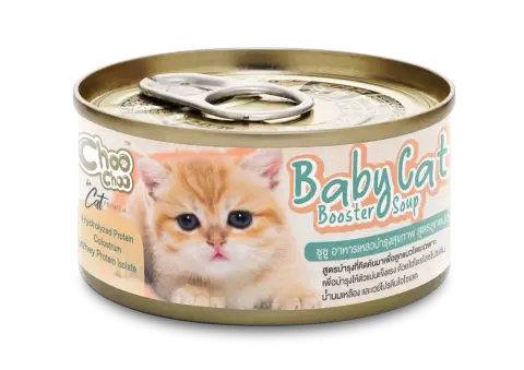 babycat booster soup